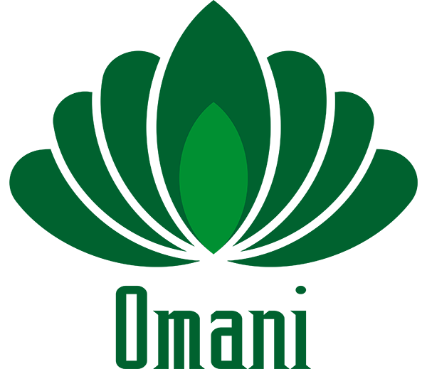 Sách - Ngọn Đèn Sáng Bất Diệt Của Trí Tuệ | OMANI Sách - Ngọn Đèn Sáng Bất Diệt Của Trí Tuệ | OMANI